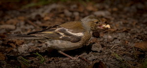 IMG_4265.jpg IMG_4265.jpg