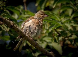 IMG_4330.jpg IMG_4330.jpg