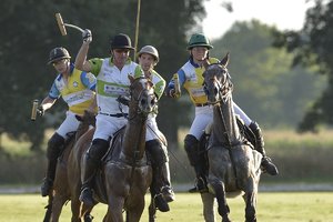 4 von 8 H.W.Domnik.jpg