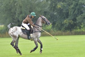 Penalty H.W.Domnik.jpg