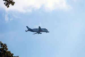 comp_IMG_8897 Kopie.jpg