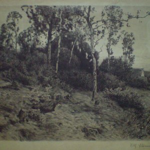 Wilhelm Feldmann von 1894