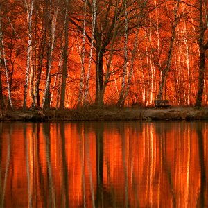 Der brennende Wald.....