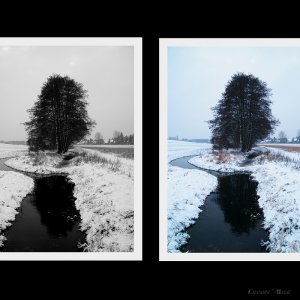 Winter Collage