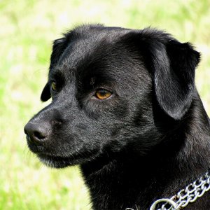 Mein Lieblingsmodell