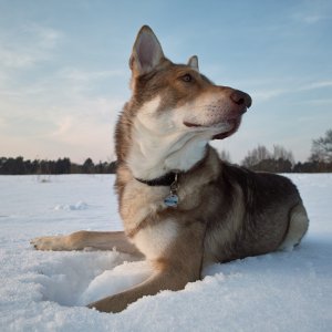 Ist die Welt nicht schön!