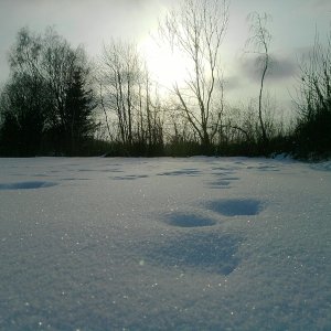 Bilder im schnee