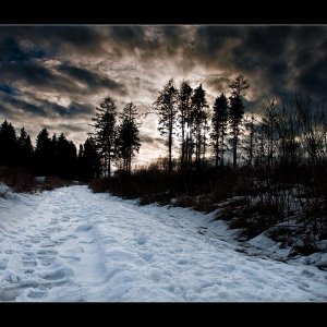 Elfringhauser Schweiz