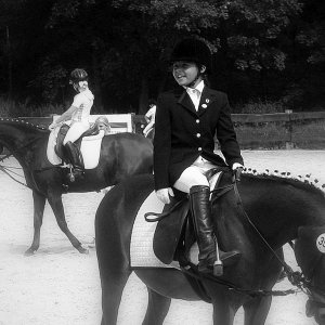 Auf dem Rücken der Pferde ..........