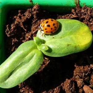 Wird´s jetzt doch noch Frühling?