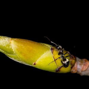 Auf Achse mit dem Ringblitz