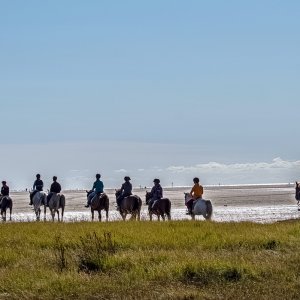 Ausritt in St. Peter-Ording