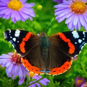 Der Sommer geht zu ende