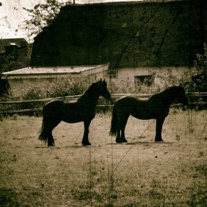 mal ein bischen spielerei