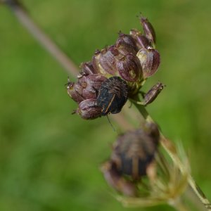 Mal wieder was von mir .