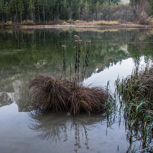 Die herbstliche Stille am See