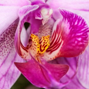 Kleines Sammelsorium