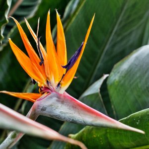 Kleines Sammelsorium