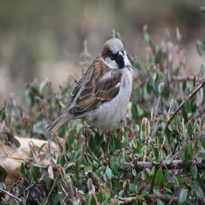Besuch im Zoo Münster