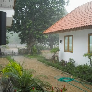 Der lange erwartete Regen