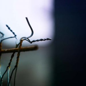 Alte Linsen in der Natur