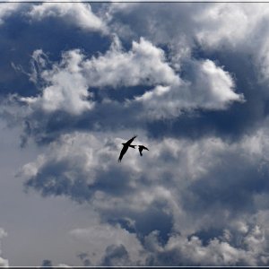 Das falsche Objektiv