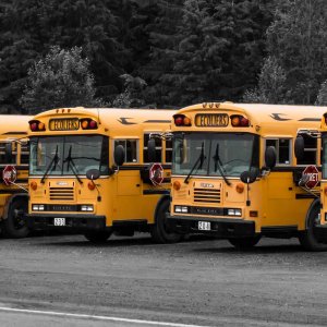 Schulbusse in Kanada