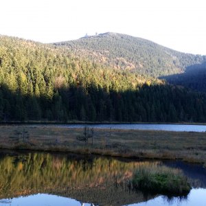 Der Große Arbersee in ca. 1000 m Höhe