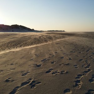 Impressionen auf Borkum