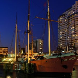 nächtlicher Streifzug