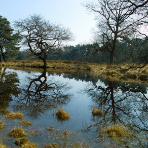 Fotopause beendet....