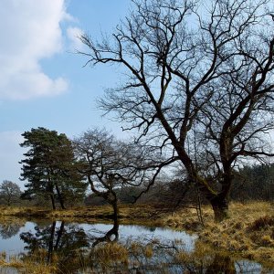 Fotopause beendet....