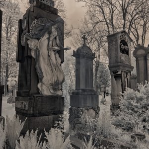 Alter Südfriedhof (Pestfriedhof) München in Infrarot