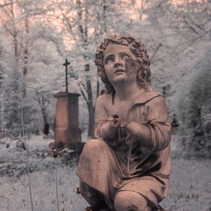 Alter Südfriedhof (Pestfriedhof) München in Infrarot