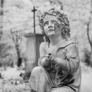 Alter Südfriedhof (Pestfriedhof) München in Infrarot