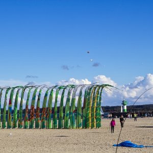 SD 9: Farbenspaß mit 17-50 2,8 DC OS HSM