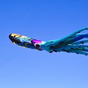 SD 9: Farbenspaß mit 17-50 2,8 DC OS HSM