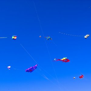 SD 9: Farbenspaß mit 17-50 2,8 DC OS HSM