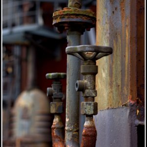 Bilder aus dem LaPaDu 2014 mit Nani