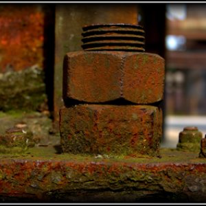 Bilder aus dem LaPaDu 2014 mit Nani