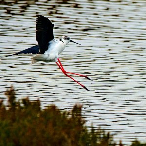 _DSC2406_1 - Kopie.jpg