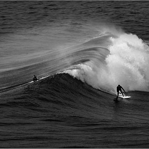 _DSC0752_1 - Kopie.jpg