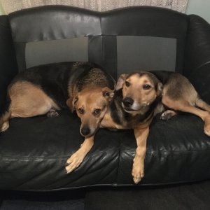 meine Couch nein meine