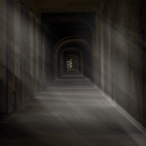 Beelitz Dark inside light.png