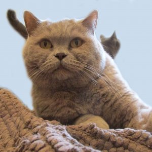 Bianca mit Lisa im Hintergrund.