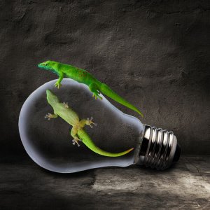 Drinnen und Draußen