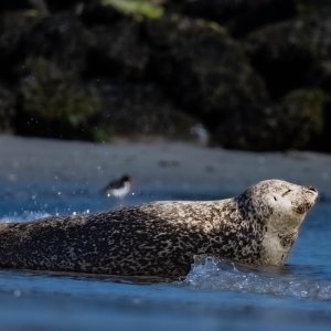 Einfach mal fünfe gerade sein lassen