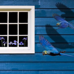 Blau ist meine  Lieblings Farbe