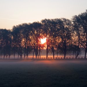 Ort: Wiesengrund Fürth. Sonnenaufgang.