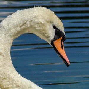 Ausflug am See 1.jpg
